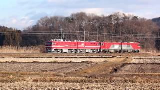 東北本線 白河-久田野 ＥＨ８００ １９号機甲種輸送通過 2016.12.21