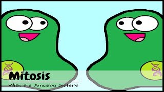 (OLD VIDEO) Mitosis: The Amazing Cell Process that Uses Division to Multiply!