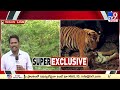 tiger s tension in palnadu when will the tiger s fear disappear five @ 5 tv9