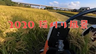 2020 稲刈り風景