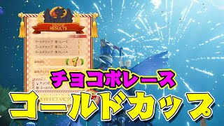 【チョコボレース】ゴールドカップ【ファイナルファンタジー7リバース】