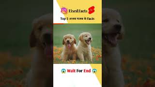 Top 5 अजब गजब के Facts,😱 @CrazyXYZ @MRINDIANHACKER #shorts #ytshort