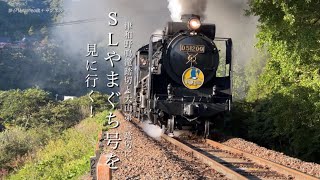 「SLやまぐち号を見に行く！」津和野鳴滝踏切と大山第一踏切に行ってみた。#slやまぐち号 #観光 #蒸気機関車