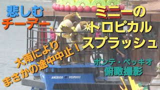 ミニーのトロピカルスプラッシュ【ポンテ・ベッキオ俯瞰撮影】途中中止