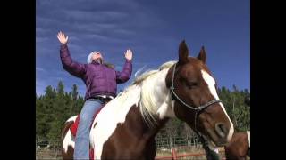 Horse Yoga