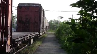 [HD] CN 2565, CN 2159 (Train 402 East) passing in Le Bic Qc. (Mont-Joli SUB, MP.133.9)