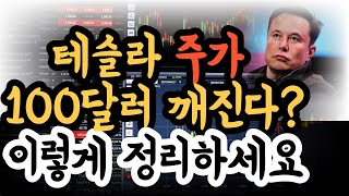 테슬라 주가 100달러 깨진다? 이렇게 정리하세요!