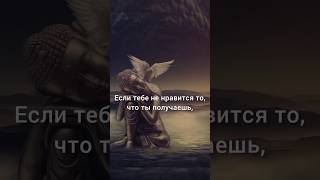 Цитаты на каждый день #5🙏 #short #wisdom #цитата #высказывание #эзотерика #буддизм #2023 #медитация