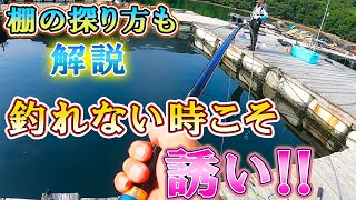 【海上釣堀】「水宝」俺流！誘い方探り方教えます！！！水宝のイケメン社長が語る、釣れなくなったらココだ！？