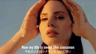 【和訳】Lana Del Rey - Radio