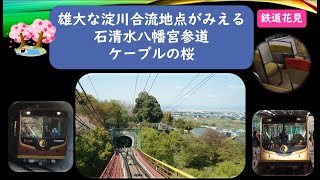 雄大な淀川合流地点がみえる石清水八幡宮参道ケーブルの桜　#前面展望　#後面展望