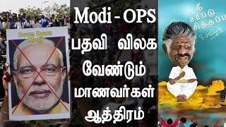 Jallikattu Protest @marina Beach - Modi - OPS பதவி விலக வேண்டும் - மாணவர்கள் ஆத்திரம்