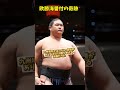 番付運最強の男、欧勝海 【大相撲】