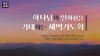 너희도 가려느냐 (요 6:60-71) I 김정기 전도사 I 새벽예배실황 I 2025/01/22