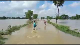 পূর্ব বর্ধমানের অজয়, দামোদরের জল বিপদসীমার ওপর দিয়ে বইছে। #EastBurdwan #flood #WestBengal