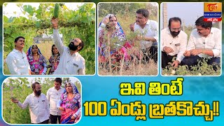 Organic Vegetables Thota | ఇవి తింటే 100 ఏండ్లు బ్రతకొచ్చు..!! Tori Gor Banjara