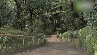 目黒区立 西郷山公園 - 地域情報動画サイト　街ログ