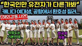 [해외감동사연]한국인만 유전자가 다른가봐!! 캐나다 여대생 공항에서 환호성 질러.. #해외감동사연 #감동 #해외반응