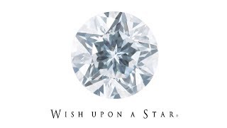 フェスタリアホールディングス Vol.5 『Wish upon a star』大ヒットの裏側