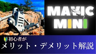 【なぜこの時期?!】初心者による初代Mavic mini ガチレビュー！！【初心者必見】#空撮　#ドローン初心者 #マビックミニ