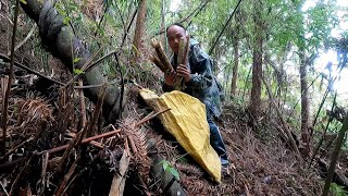 大山里的原生态，最真实的农村生活，山上挖笋，感恩大自然的馈赠