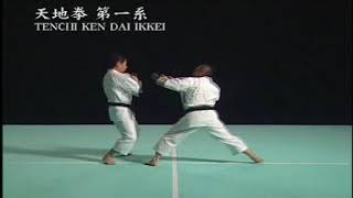 Waza Tenchi Ken Dai Ikkei (embu), Shorinji Kempo