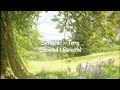 Seraphic - Txmy (Slowed & Reverb)