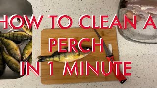 HOW TO CLEAN A PERCH IN 1 MINUTE