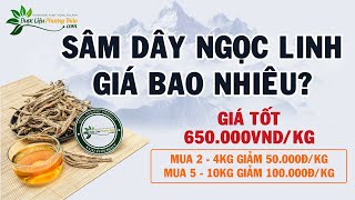 Sâm dây Ngoc Linh giá bao nhiêu? Nơi cung cấp sâm chuẩn Kon Tum chất lượng? | Dược Liệu Phương Thảo