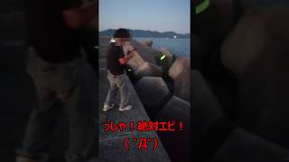 【苦笑】絶対エビ！