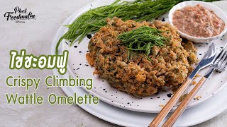 อีกรูปแบบของไข่ชะอมที่เชฟยีสต์นำเสนอ Crispy Climbing Wattle Omelette |พลพรรคนักปรุง|