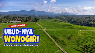 UBUD-nya WONOGIRI, Indahnya Persawahan di Slogoretno, Jatipurno