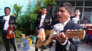 Mariachi Arrieros de Jalisco de Jose Verdin - La chilena