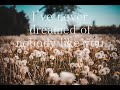 DANDELIONS (Slowed+Reverb)/Cover- The Eighth Note