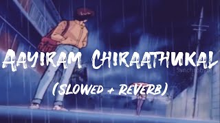 Aayiram Chirakukal | Shaan Rahman |  Slowed reverb | Lyrics video