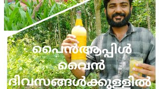 ഒരു  കിടിലൻ പൈൻആപ്പിൾ വൈൻ | HOW TO MAKE PINEAPPLE WINE