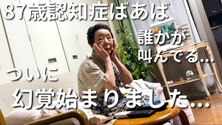 【怪異】87歳認知症ばあばと33歳こどおじ(孫)二人暮らし【ラグドール】【ハゴロモセキセイインコ】