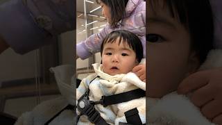 初めてのわんちゃん🐶を不思議そうに見る1歳児#1歳#3歳#4歳#3人兄弟