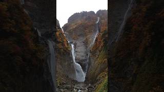 紅葉の名所【富山の嵐山?!】寺家公園と称名滝 #shorts #富山 #鉄板 #紅葉 #称名滝 #ハンノキ滝 #絶景 #悪城の壁 #秋 #観光 #名所 #隧道 #滝 #風景