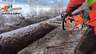 Stihl MS 500 i the 1st chainsaw with injection system in 1st use