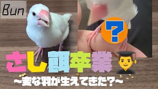 【生後2ヶ月】さし餌卒業しました