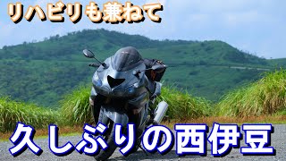 久しぶりの西伊豆スカイライン【ZZR-1400 / ZX-14R・モトブログ】