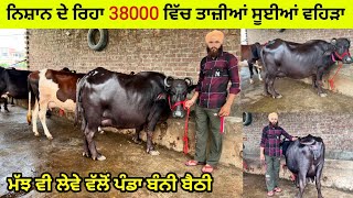 ਨਿਸ਼ਾਨ ਦੇ ਰਿਹਾ 38000 ਵਿੱਚ ਤਾਜ਼ੀਆਂ ਸੂਈਆਂ ਵਹਿੜਾ । ਪਿੰਡ ਰਸੂਲਪੁਰ ਨਹਿਰਾਂ। ਤਰਨਤਾਰਨ