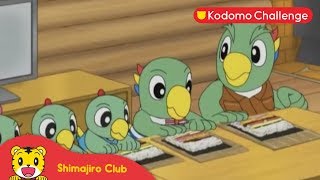 Shimajiro | Ayo Membuat Nasi Gulung Panjang I Kodomo Challenge