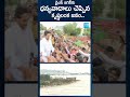 జగనన్నకు ధన్యవాదాలు చెప్పిన కృష్ణలంక జనం ysjagan retainingwall vijayawada krishnalanka @sakshitv