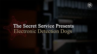 These Dogs Can Hunt…for Electronics - Inside the Electronic Detection Dog Program