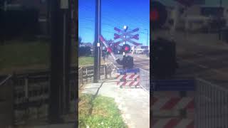 Treinen Compilatie 😎🚂 Spoorwegovergangen 😎🚂 Bunde