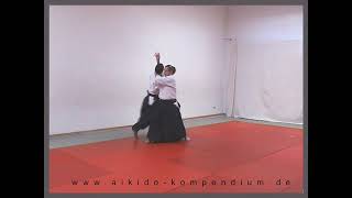 tachi waza ai hanmi katate dori irimi nage