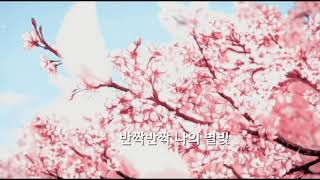 살랑살랑 벚꽃 필 무렵 듣는 옛 띵곡🌸 조pd(ZoPD)-Spring Spring (feat. MayBee)