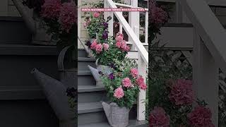 Stunning Front Porch Flower Pot Ideas #porch #flower #shorts